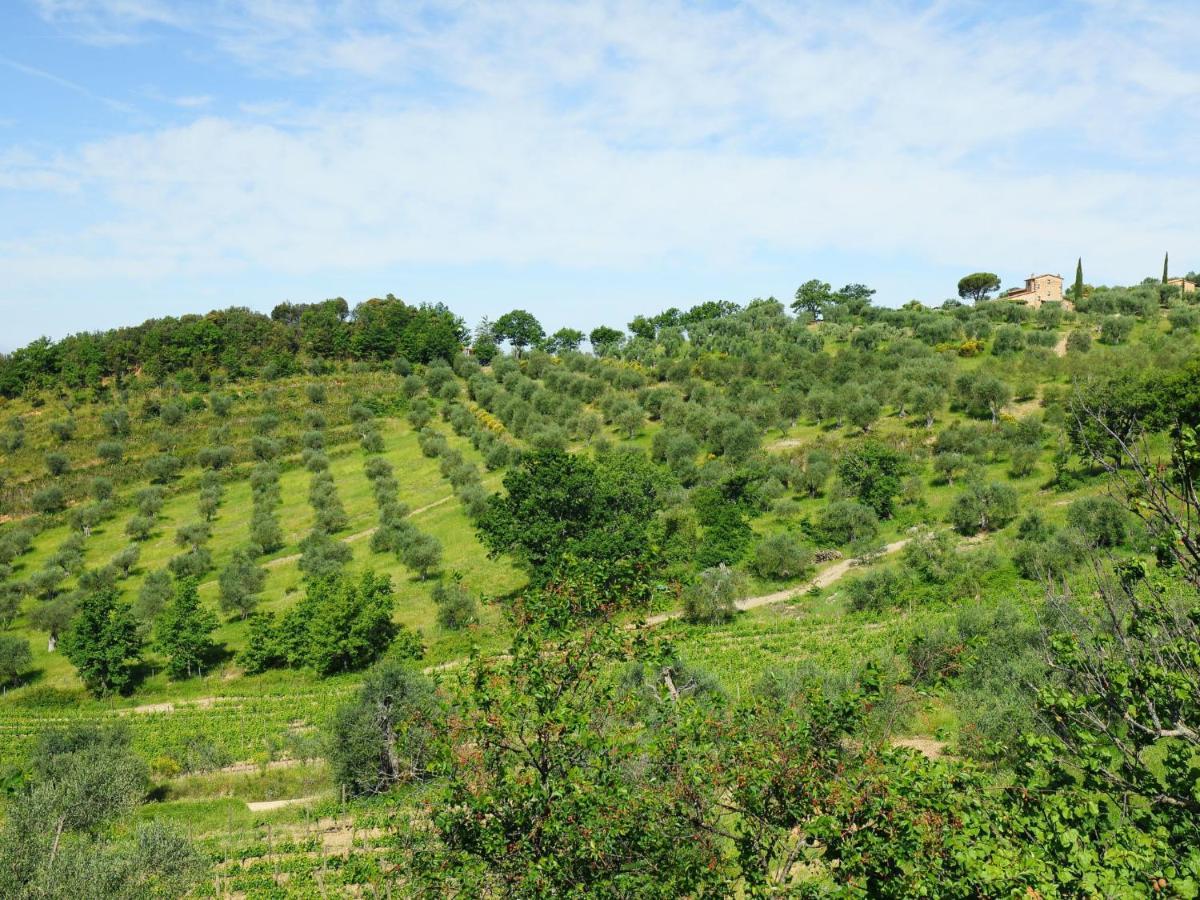 Holiday Home Poggio Velluto By Interhome Seggiano Buitenkant foto