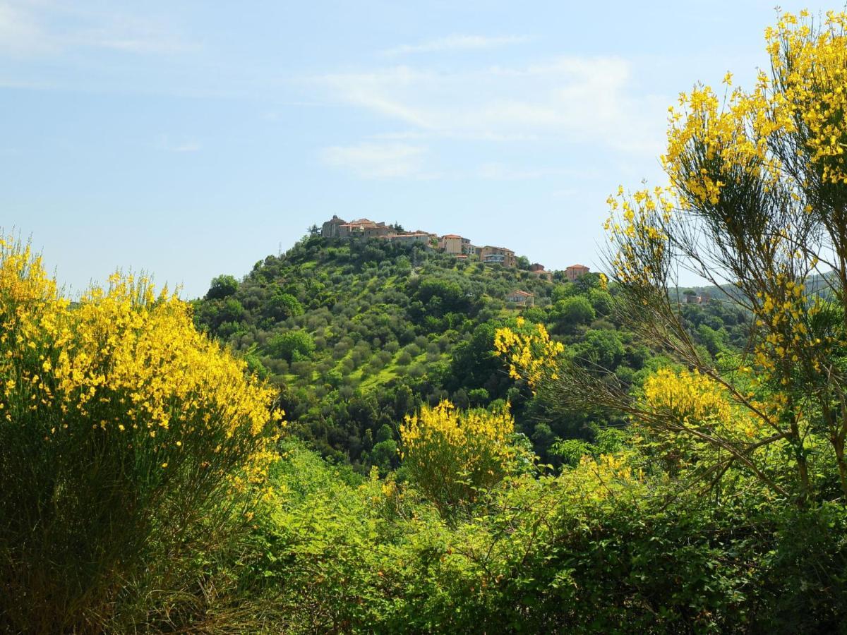 Holiday Home Poggio Velluto By Interhome Seggiano Buitenkant foto